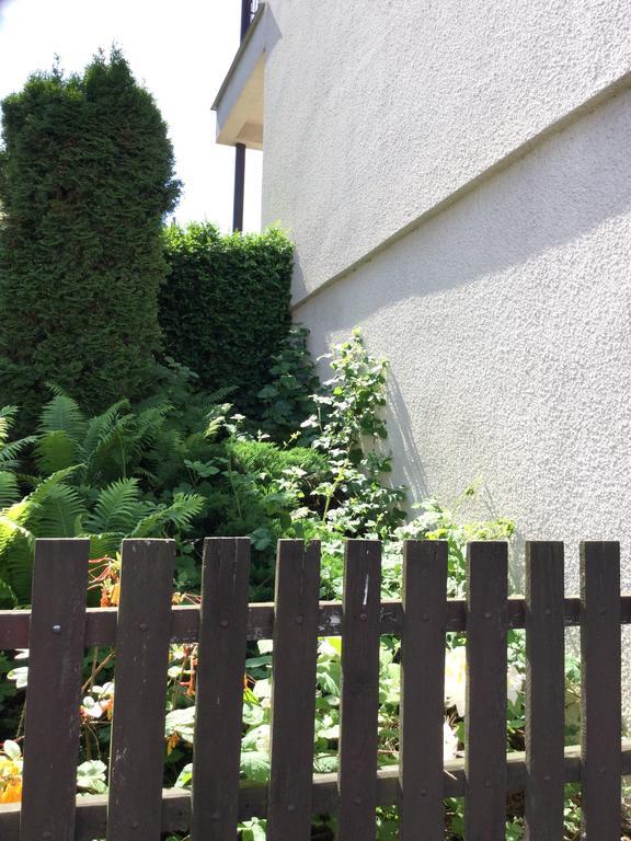 Lydiavi Apartment วิโซเก มิโต ภายนอก รูปภาพ